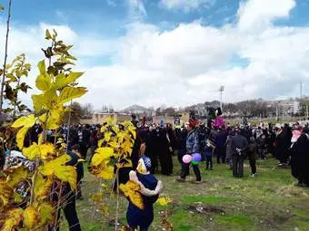 عروسک پیمایی در کنگاور