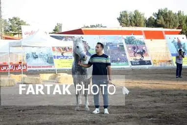  چهارمین جشنواره ملی زیبایی‌های اسب (تاق‌بستان)  جشنواره اسب اصیل کُرد