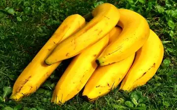 هفت کربوهیدرات موثر در کنترل فشار خون 