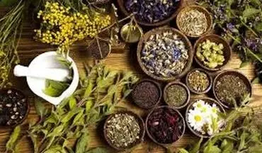 به هیچوجه گیاهان دارویی را به‌صورت پودر تهیه نکنید !