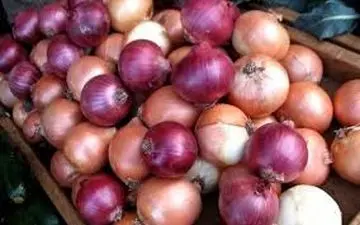 قیمت انواع پیاز چند؟