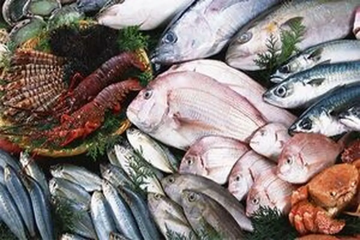 قیمت انواع ماهی و میگو+ جدول