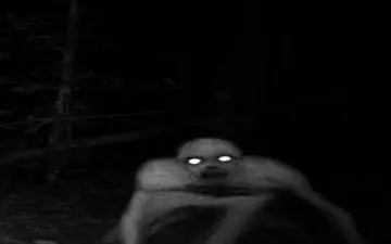 جن‌ها سراغ چه کسانی میروند