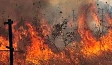 جویندگان عسل ‎باعث آتش سوزی بیش از ۳ هکتار از اراضی محمودی میناب شدند