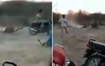 اقدام احمقانه موتورسوار در محدوده شیرهای حفاظت شده!