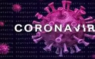 ویروس کرونا با گندزدایی از بین می ‌رود؟