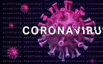 ویروس کرونا با گندزدایی از بین می ‌رود؟