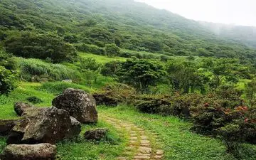 قیمت تورهای جنگلی ویژه نوروز ۱۴۰۴ / تور ۲ روزه ماسال نفری چند؟ + جدول