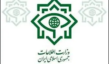 اقدام بموقع وزارت اطلاعات مانع توزیع ویزاهای جعلی برای زائران شد