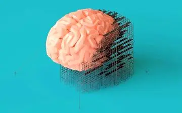 چند  مکمل مفید و موثر برای تقویت مغز

