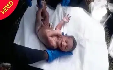 لحظه پیدا شدن نوزاد در آشغال! +فیلم 