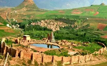 جاهای ترسناک ایران؛ این جنگل جیغ می زند