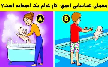 کدام یک احمق است؟ ببینم می تونی کار احمقانه رو مشخص کنی یا خیر؟