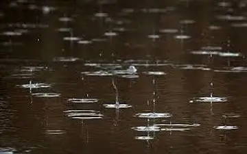 سازمان هواشناسی: موج بارشی جدیدی در راه است 