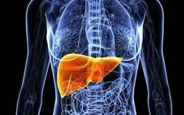 بهترین و ارزان ترین روش برای دفع سموم از بدن!