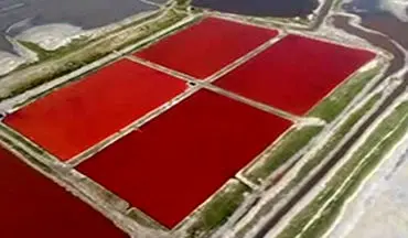 تغییر رنگ دریاچه نمک از آبی به قرمز+فیلم