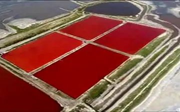تغییر رنگ دریاچه نمک از آبی به قرمز+فیلم