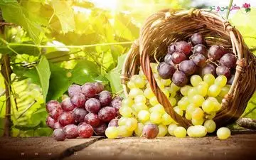 انگور و خربزه سرماخوردگی را تشدید می کنند؟


