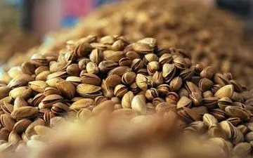 صادرات پسته کشور در ۹ ماهه سال جاری 