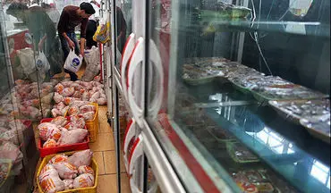  تا ۱۰ روز آینده نوسانات قیمت مرغ در تهران برطرف می‌شود
