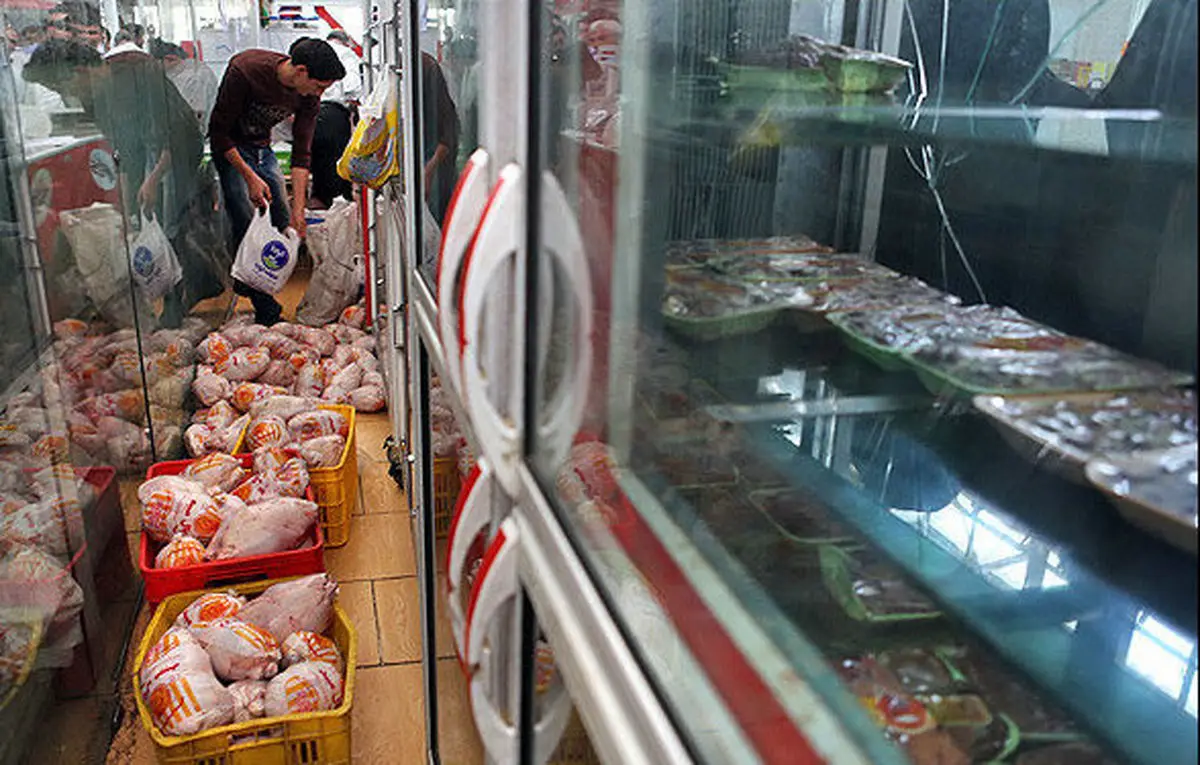 سازمان حمایت به مرغ فروشان هشدار داد
