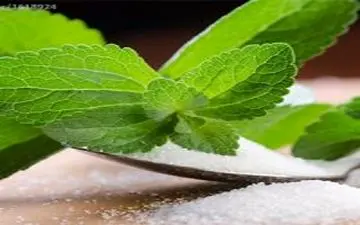 شکر برگ، شیوه جدید درمان دیابت 