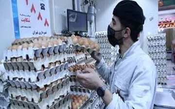 قیمت مرغ و تخم‌مرغ اصلاح می‌شود