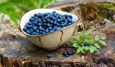 اگر هر روز بلوبری بخورید، چه اتفاقی در بدنتان می‌افتد؟