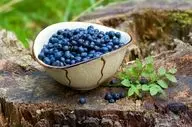 اگر هر روز بلوبری بخورید، چه اتفاقی در بدنتان می‌افتد؟