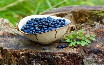 اگر هر روز بلوبری بخورید، چه اتفاقی در بدنتان می‌افتد؟