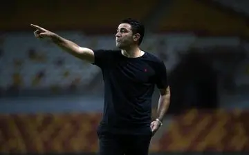 گرشاسبی: به ادامه همکاری با نکونام امیدوارم