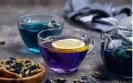 خواص درمانی بی‌نظیر گل گاو زبان برای سلامتی

