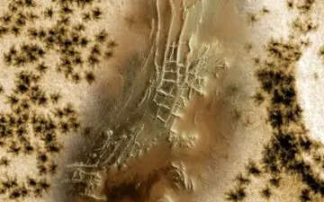 مریخ عنکبوت ندارد!