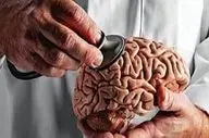 ساعت سریع مغز/ چرا زمان برای برخی زودتر می‌گذرد؟