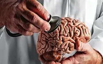 ساعت سریع مغز/ چرا زمان برای برخی زودتر می‌گذرد؟