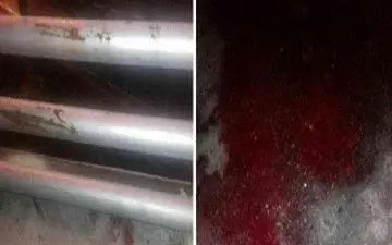 شهادت دو مامور پلیس تهران در تعقیب و گریز پراید مشکوک 