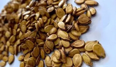 تخمه هندوانه، بمب انرژی و پروتئین