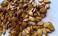 تخمه هندوانه، بمب انرژی و پروتئین