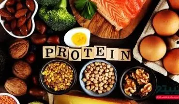 چه مقدار پروتئین در روز باید مصرف کنیم؟ 