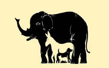 تعداد حیوان‌های در تصویر را پیدا کنی یک نابغه‌ای+ پاسخ