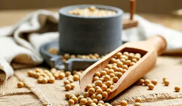 تأثیر مصرف سویا بر پیشگیری از سرطان پروستات: آیا سویا مفید است؟