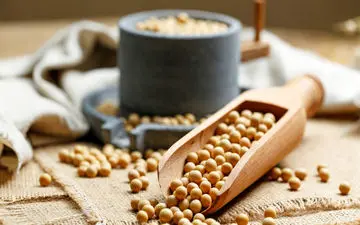 تأثیر مصرف سویا بر پیشگیری از سرطان پروستات: آیا سویا مفید است؟