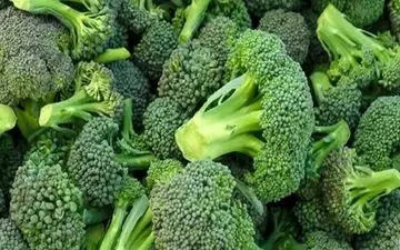 این نوع کلم را فقط خام بخورید