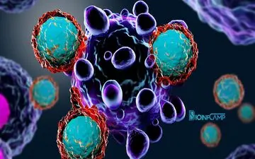 اطلاعات بسیار جالب در مورد سلول‌های بنیادی!