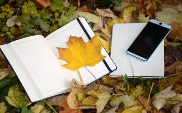 کدام آموزش بهتر است؟مجازی یا حضوری؟