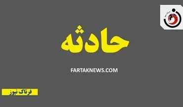 حادثه هوایی در لحظه بلند شدن هواپیما؛ ۴ مسافر زخمی شدند