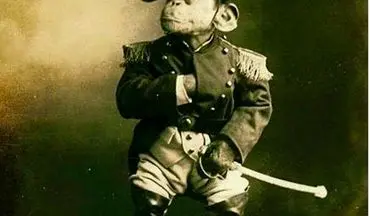 این میمون در جنگ جهانی اول مدال شجاعت گرفت! +عکس