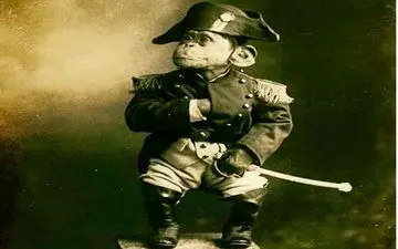 این میمون در جنگ جهانی اول مدال شجاعت گرفت! +عکس