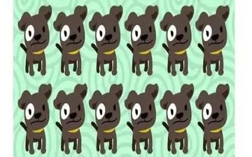 برای یافتن سگ متفاوت، نیازمند هوش و تیزبینی بالا هستید / 19 ثانیه فقط فرصت دارید سگ متفاوت رو پیدا کنی