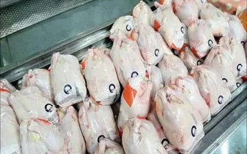 9 پرونده تخلف فروش گوشت مرغ در کرمانشاه تشکیل شد